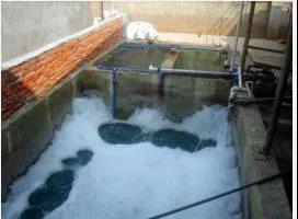 香卷六宝曲资料大全